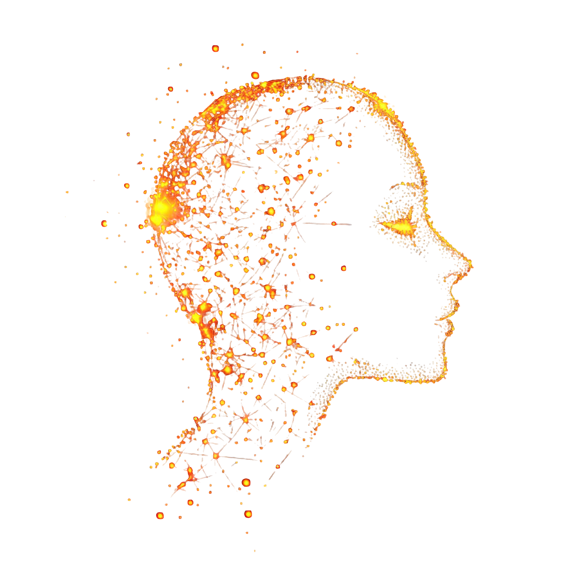 AI Head Visualization